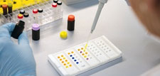 A technician testing samples