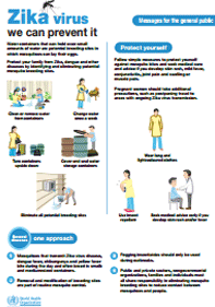 Zika virus - we can prevent it