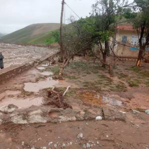 WHO swiftly delivers 7 metric tonnes of medical supplies to flood-hit northern Afghanistan