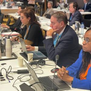 WHO Regional Director’s statement for the Executive Board 156: Report of the regional committees to the Executive Board